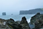 PICTURES/Dyrholaey And The Black Beaches/t_Dyrhólaey Formations5a.jpg